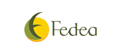 Fedea